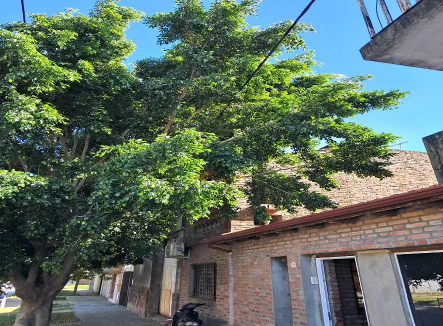 Foto del lugar